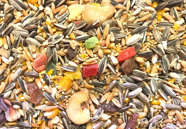 Bird Food
