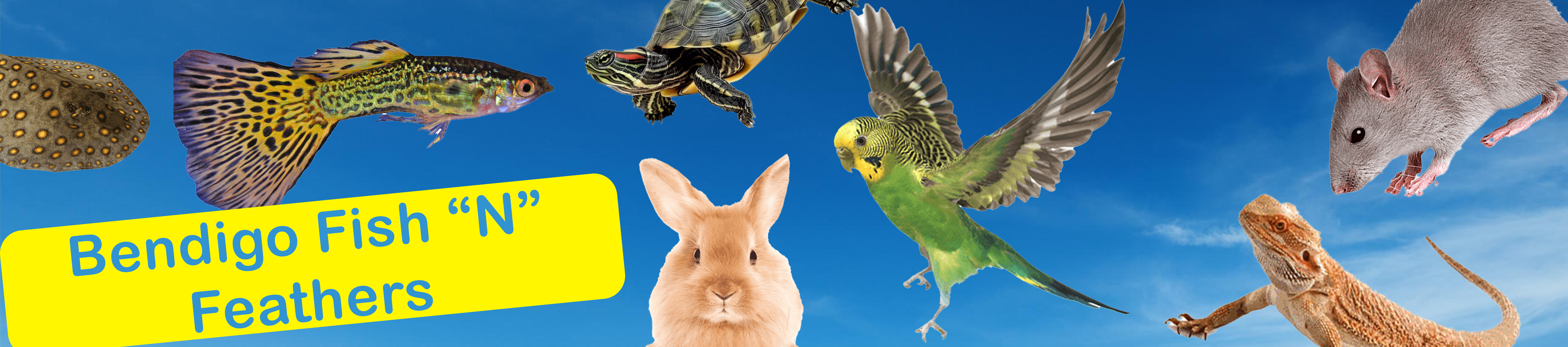 Birds and other small animals agains blue sky